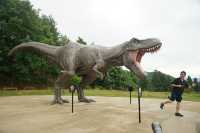 Fukui - Dinosaur capital of Japan