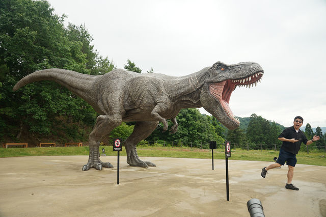 Fukui - Dinosaur capital of Japan