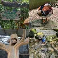 【吉隆坡】Farm In The City：親子好去處，工作人員友善