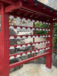 【福岡神社】センス抜群の花手水を楽しめる神社