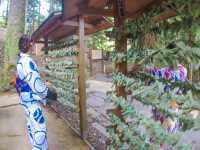 【京都】京都の奥座敷、縁結びで有名な水の神