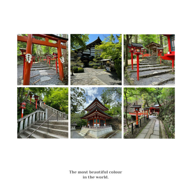 小國神社：日本神道文化的優質目的地，悠久歷史傳統，感受神聖氛圍