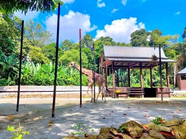 Zoo Melaka
