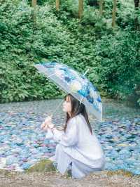 ここ知ってる？？【あじさい池が美しい🫧】日本最大級紫陽花映えスポット🫧
