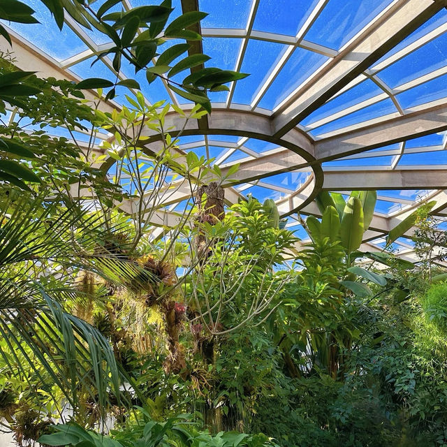 「下賀茂熱帶植物園：熱帶雨林奇景，原始自然之旅」