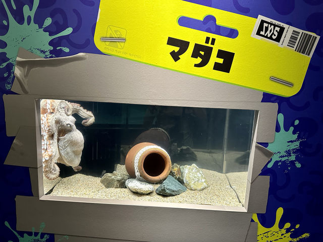 魅了がたっぷりマリンワールド