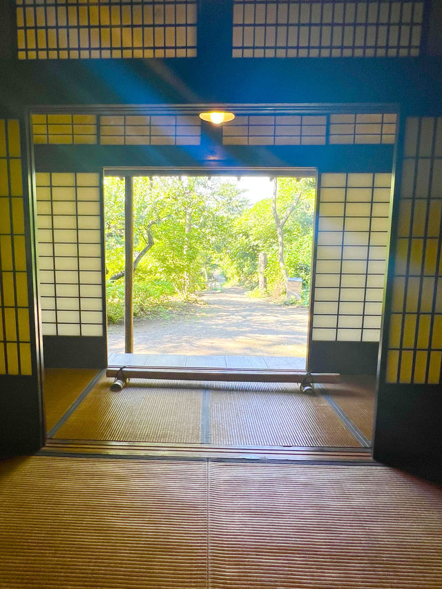 〜神奈川県〜初夏を感じる都会の癒しスポット