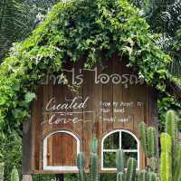 🏡 บ้านไร่ ไออรุณ  baan rai i arun 