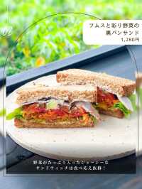 沖縄のやんばるの森を進むと見えてくる、秘密基地🌱
