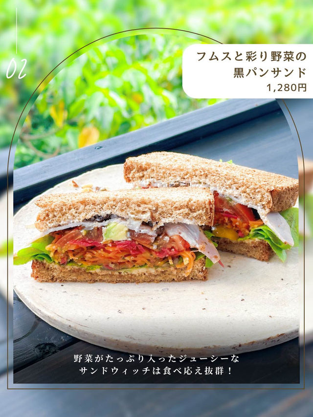 沖縄のやんばるの森を進むと見えてくる、秘密基地🌱