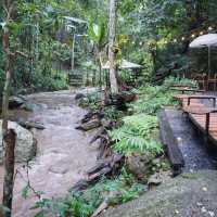 คาเฟ่ติด ลำธาร เชียงใหม่