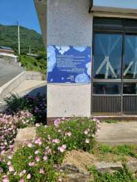 거제도에서 가장 유명한 대문집은 여기💙