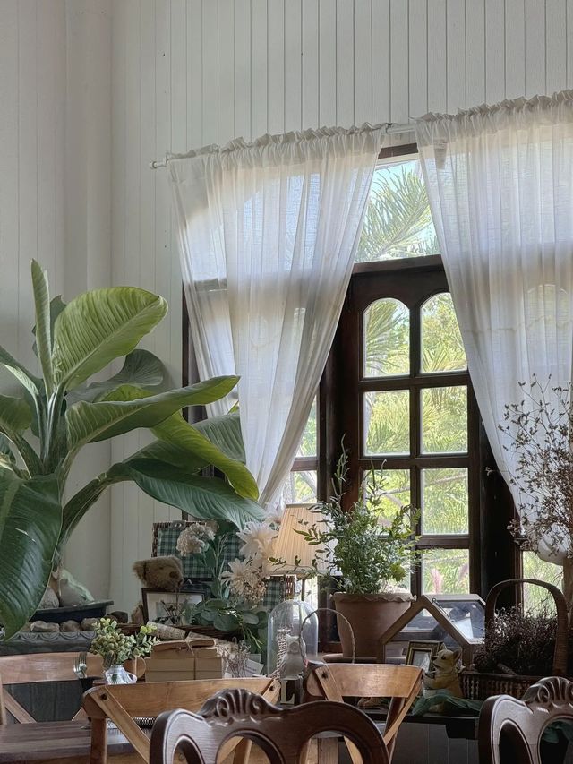 Rice Field Home Farm Stay & Cafe 🌳🍃 