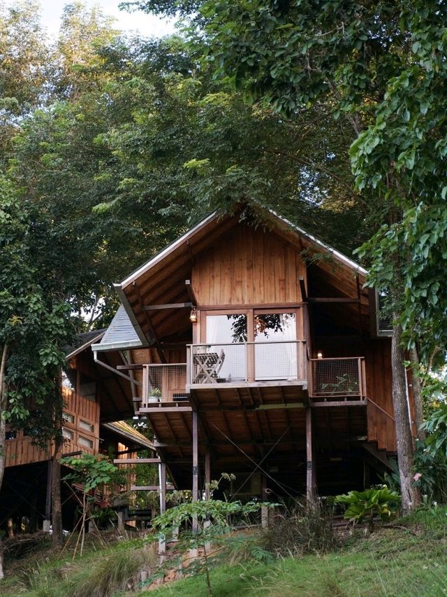 ฮีลใจที่บ้านต้นไม้ "ไร่ต้นรัก" อ.ปัว เมืองน่าน