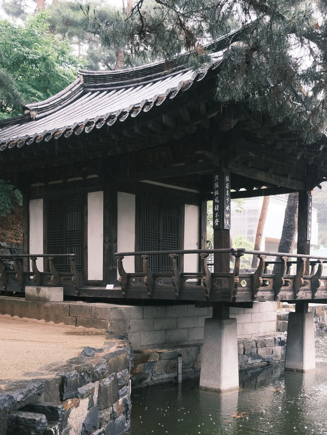 🍨⭒꙳ 정릉동 찻집 차담by 갤러리 더 스퀘어⛧