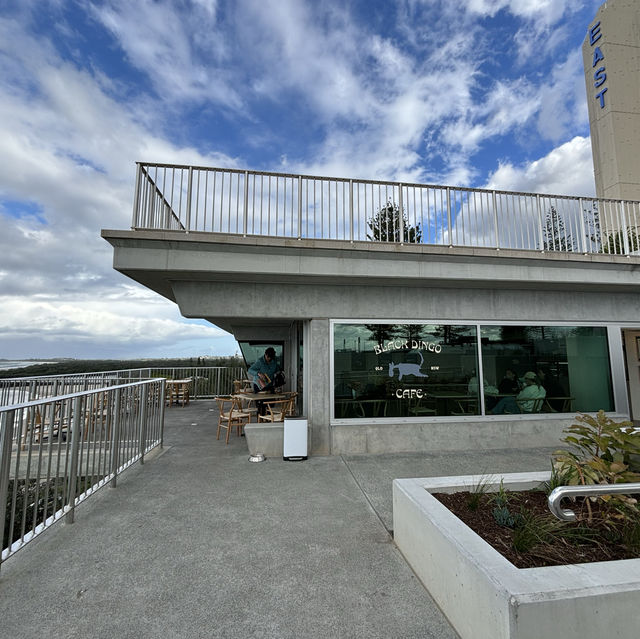 black dingo cafe @ Coolangatta beach