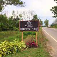 กาแฟสวนคุณปู่ ตรัง