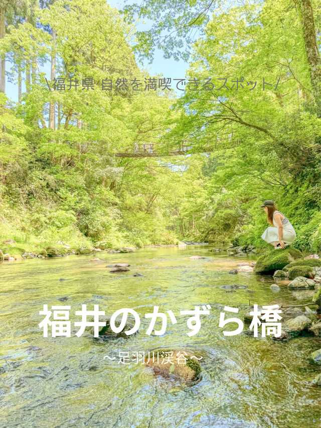 【福井県】福井のかずら橋で自然を満喫！🌿