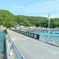 【高知】エメラルドグリーンの高知西南端の島
