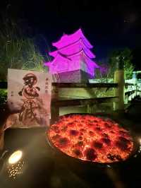 〜埼玉県〜MAP有り！忍城ライトアップ✨花手水WEEK2024