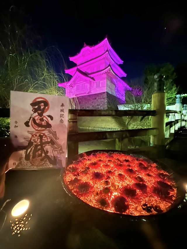 〜埼玉県〜MAP有り！忍城ライトアップ✨花手水WEEK2024