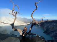 Difficult to Trek but quite worth the experience: Mount Bromo and Ijen Volcano