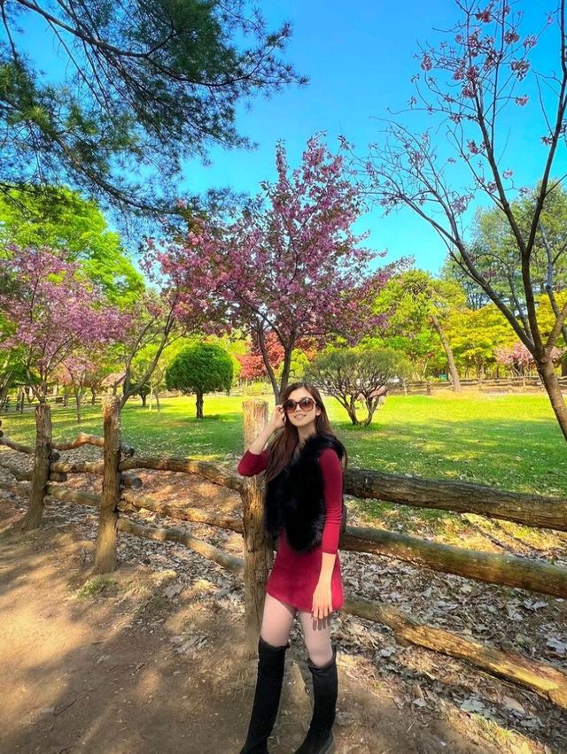 Escape to Nami Island: A Seoul Day Trip 🌳🍁🇰🇷