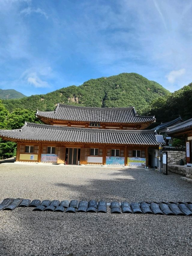 호랑이가 있는 충북 영동 반야사
