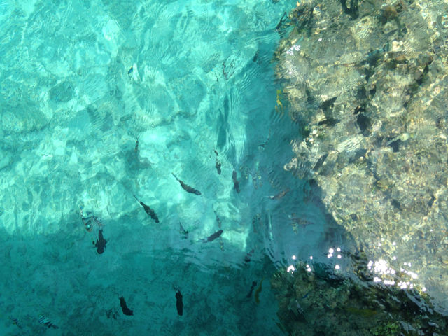 特定の時間のみ海上に現れる幻の砂浜！