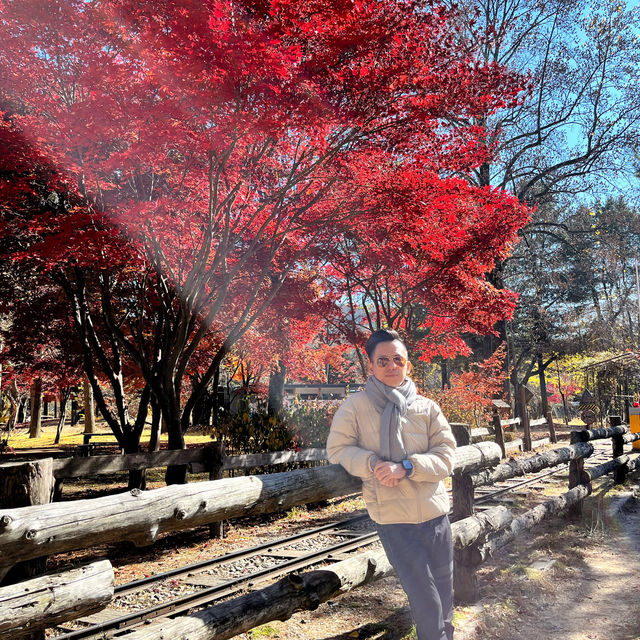 K-drama on Nami Island, South Korea