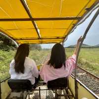 제주여행🏝️ 레일바이크 타고 제주 오름 경관 즐기기🛤️