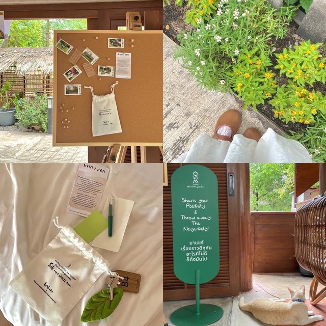 พักผ่อน ฟาร์มสเตย์ฮีลใจ ใกล้กรุงเทพ🪿🧺🌳
