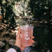 คาเฟ่ใจกลางป่า เชียงใหม่ 🍃🌳