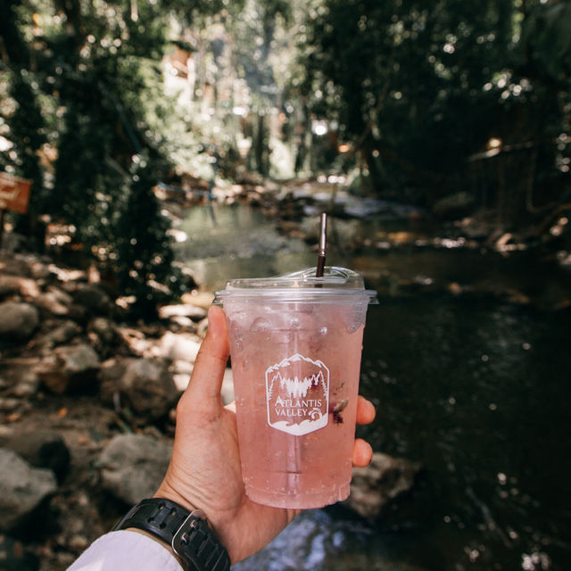คาเฟ่ใจกลางป่า เชียงใหม่ 🍃🌳