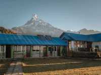 Day 5 Mardi Himal  (Low Camp - Pokhara)