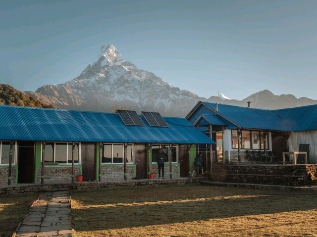 Day 5 Mardi Himal  (Low Camp - Pokhara)