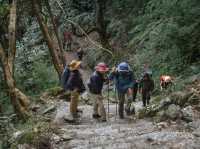 Day 2 Mardi Himal (Pitan Deurali-Low Camp) 