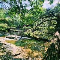 🏞백운계곡 !! 솔마루 식당 추천드려요!!👀👍