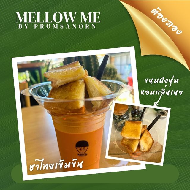🍯Mellow Me By Promsakorn