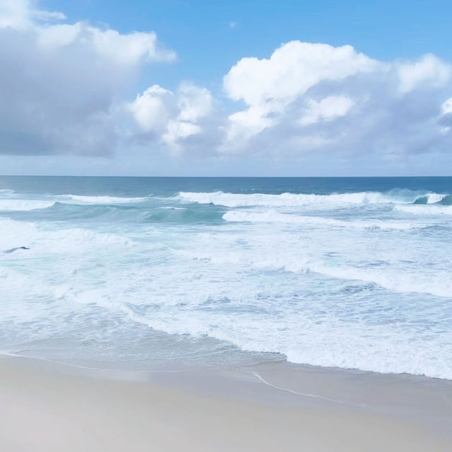 Sun, Surf, and Pure Bliss: Bondi Beach Unplugged 🇦🇺