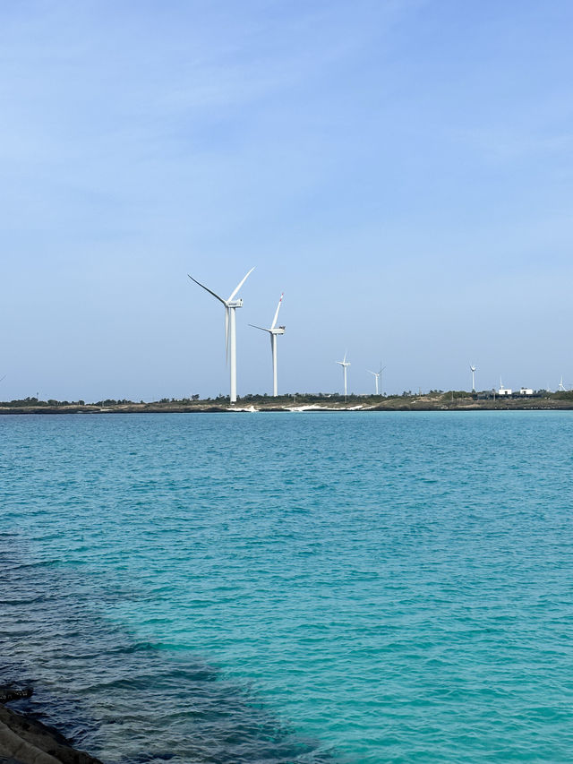 🇰🇷濟州島 為了這片油菜花和海景飛到濟州島拍婚攝🌼🌸 推介幾個沙灘景🎀