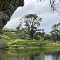 Must visit place in auckland