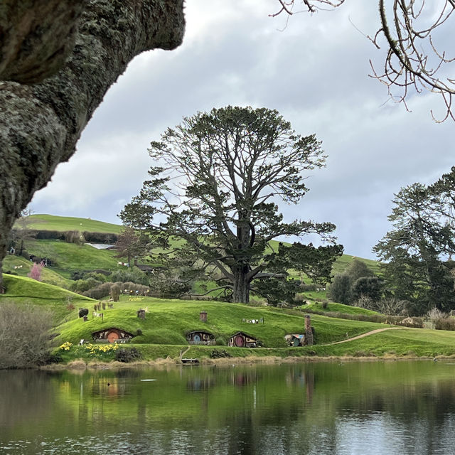 Must visit place in auckland