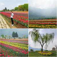 Srinagar ศรีนาการ์ ใครว่ามีแต่จลาจล