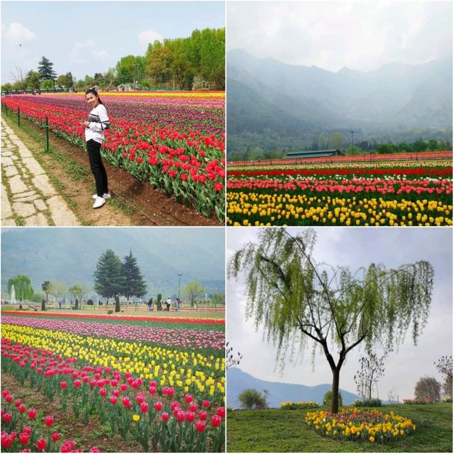 Srinagar ศรีนาการ์ ใครว่ามีแต่จลาจล