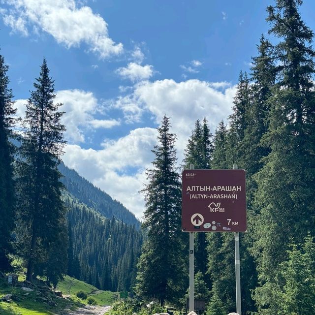 Mountains are my happy place