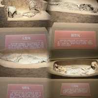 From Borneo to Anyang: A 3,000-Kilometer Journey to explore 3000 years history of Shang Dynasty 