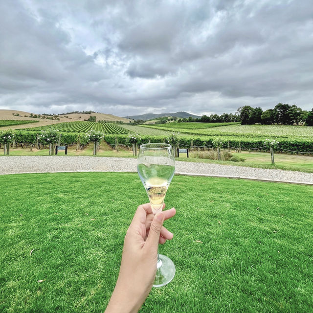 Visiting one of the world's biggest wine producers