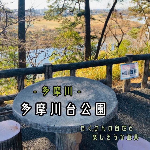 【多摩川】多摩川台公園 - 見所満載の散策コース -