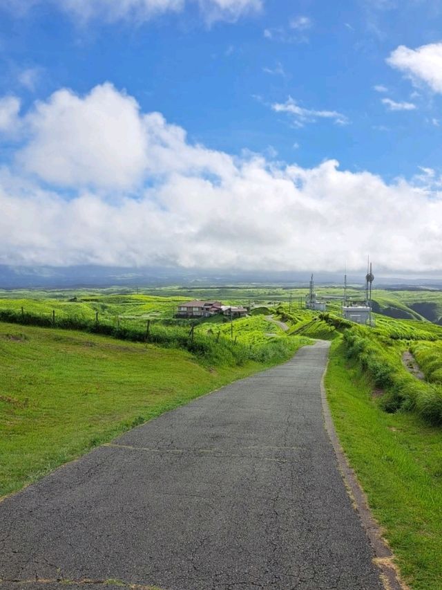 【大観峰:熊本県阿蘇市】綺麗すぎる緑の夏の絶景✨